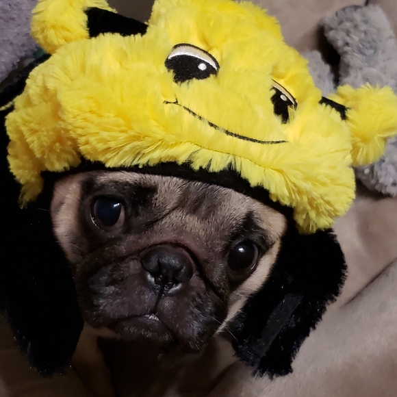 Meet your Posher, Jamie - Picture 2 of 2